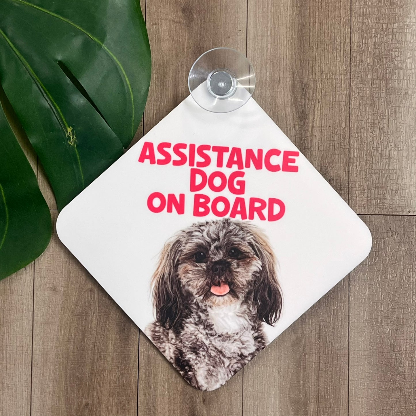 Dog themed Car Window Suction Cup Signs