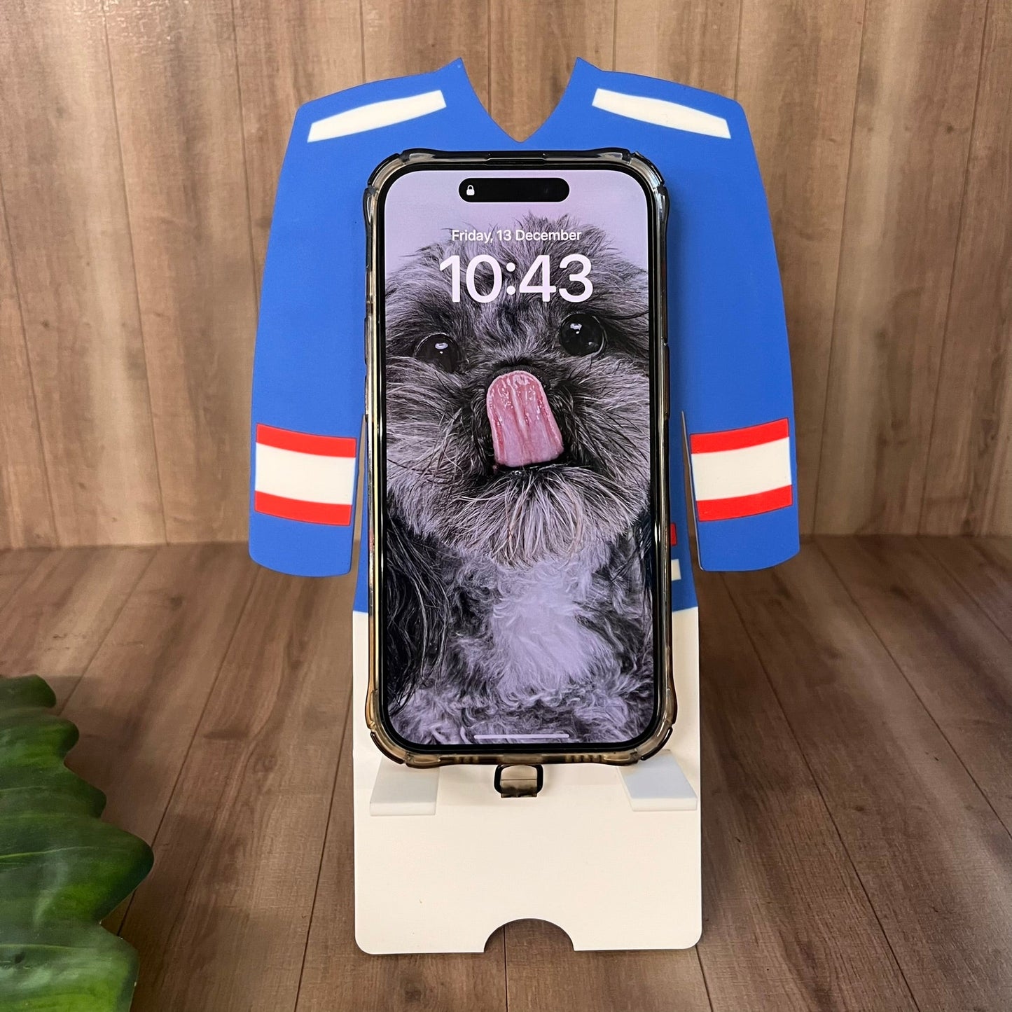 Newcastle Northstars Jersey Phone Stand - Webster Enterprises