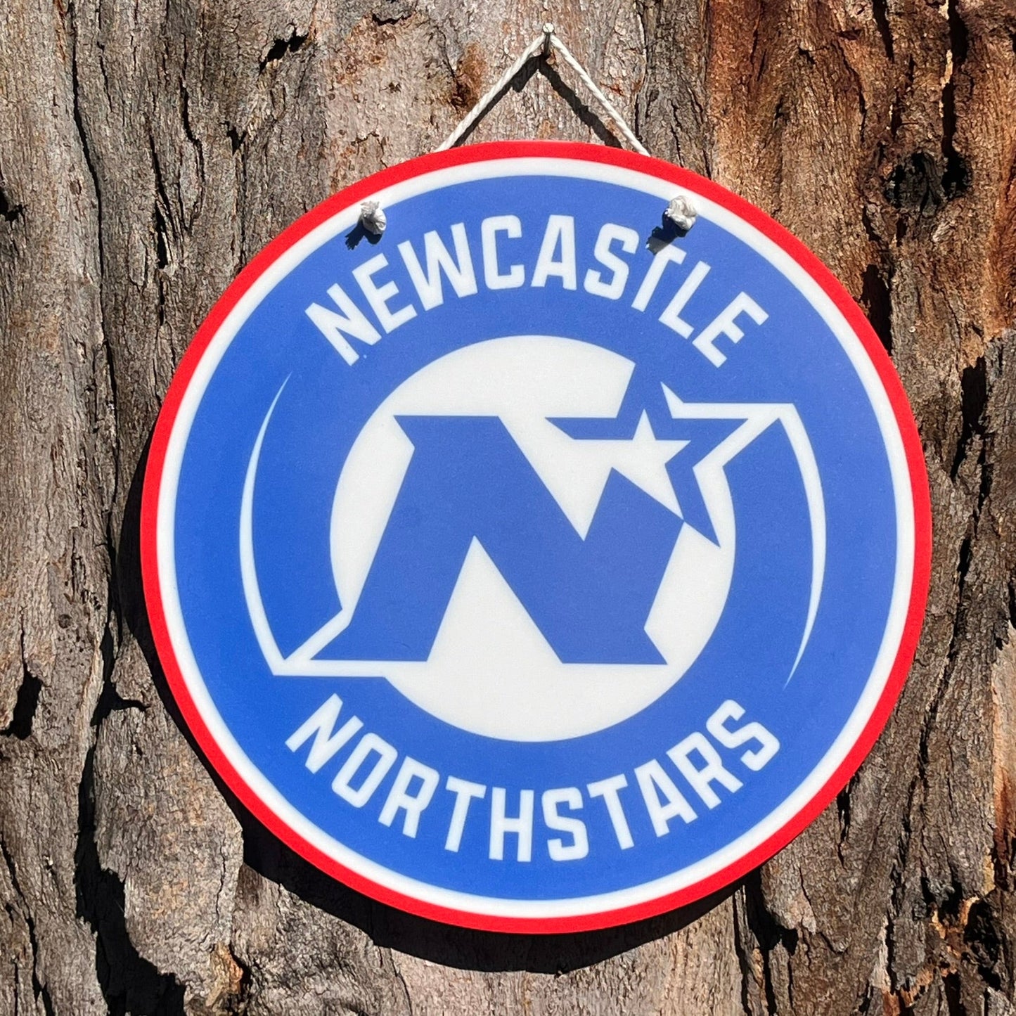 Newcastle Northstars Logo Plaque - Webster Enterprises