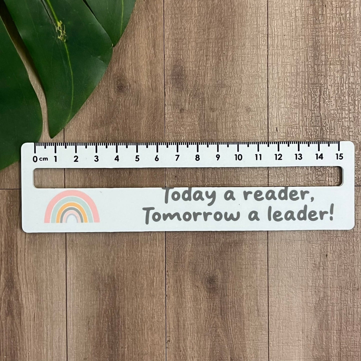 Reading Ruler - Webster Enterprises