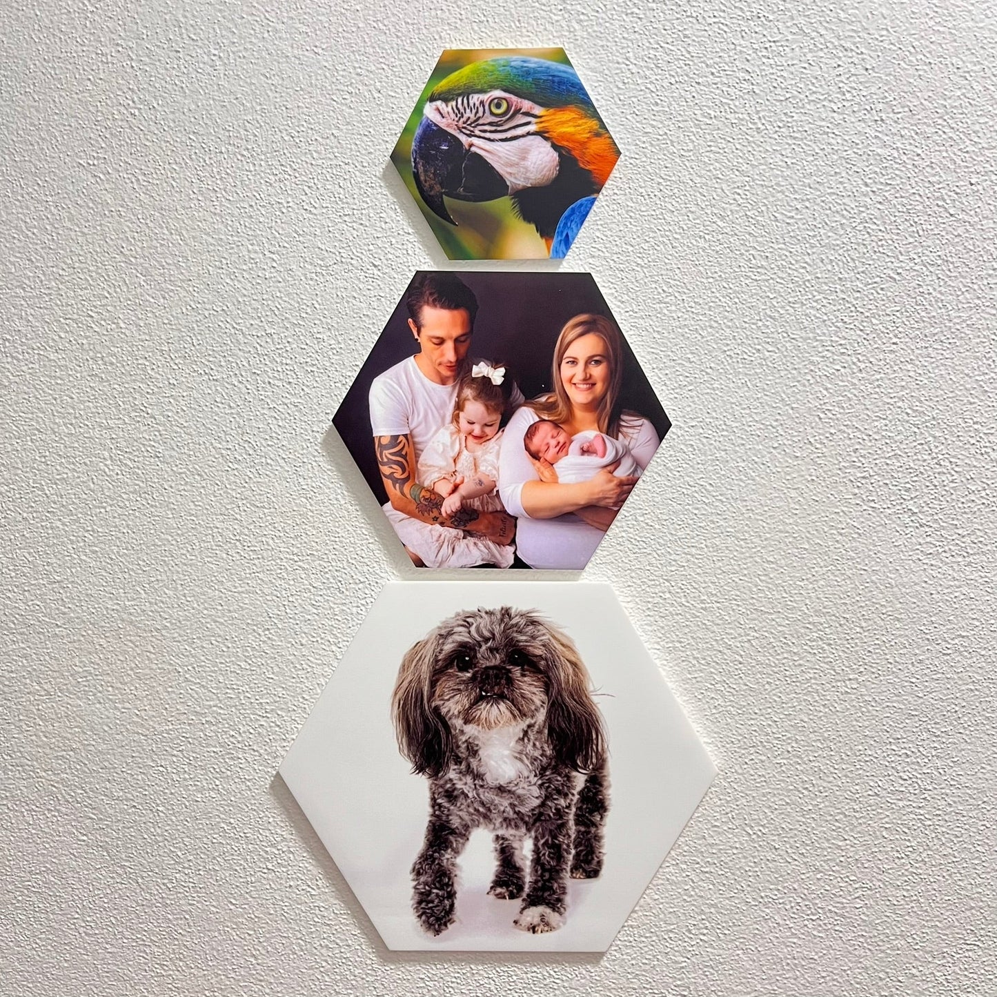 Sublimated Hexagon Acrylic Photo Tiles - Large 20cm wide - Webster Enterprises