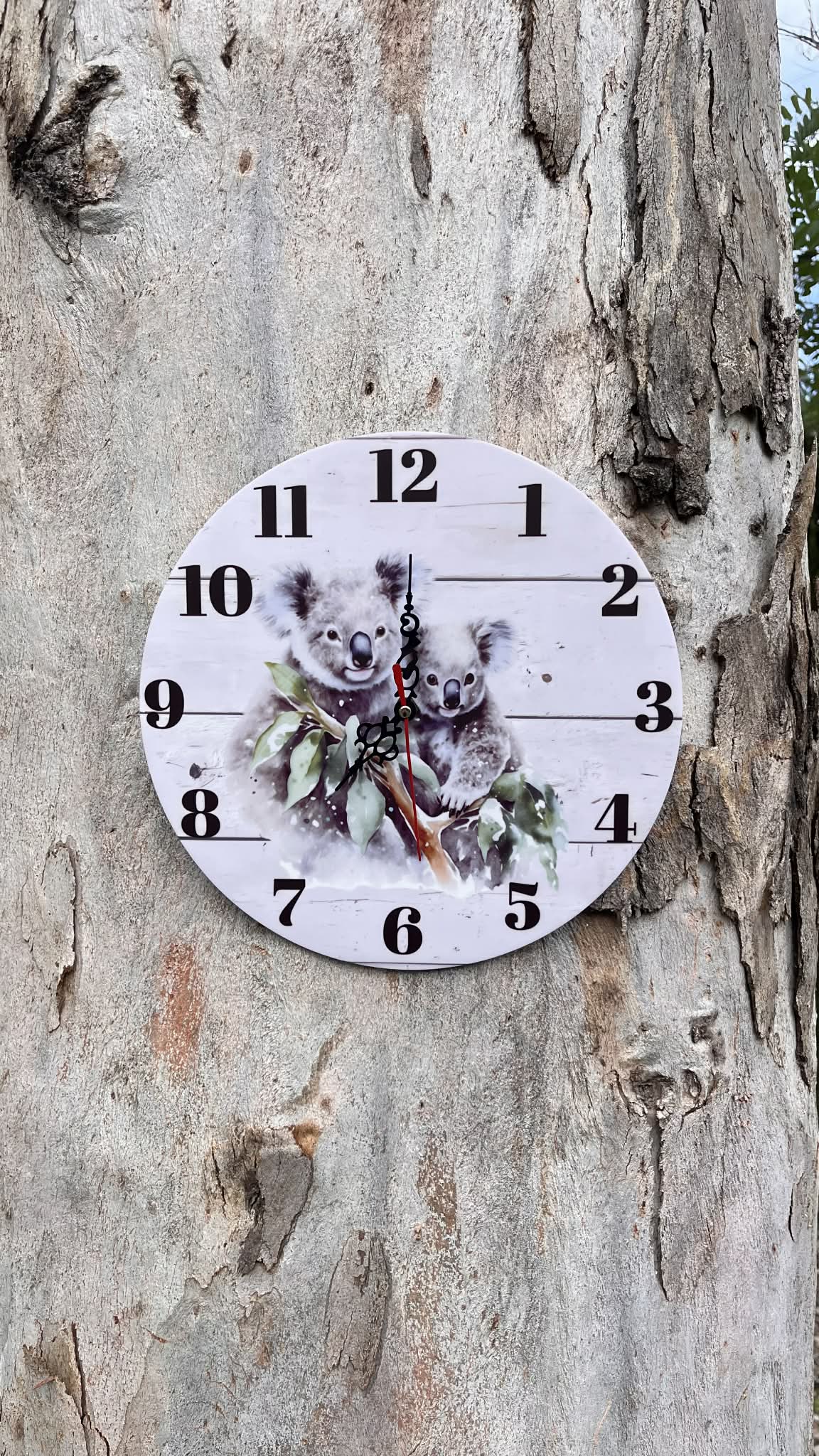 Koala themed Clock - Webster Enterprises