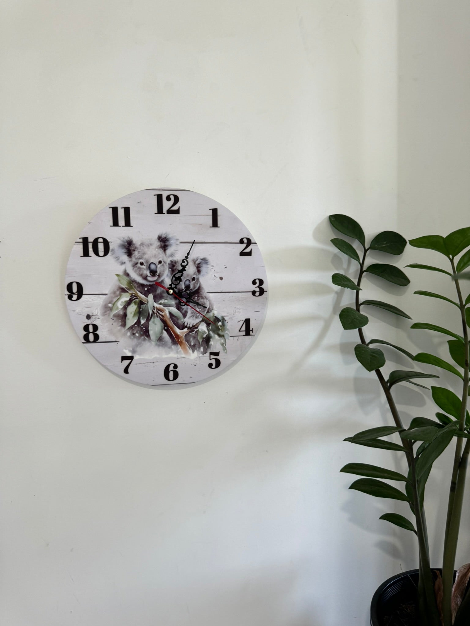 Koala themed Clock - Webster Enterprises