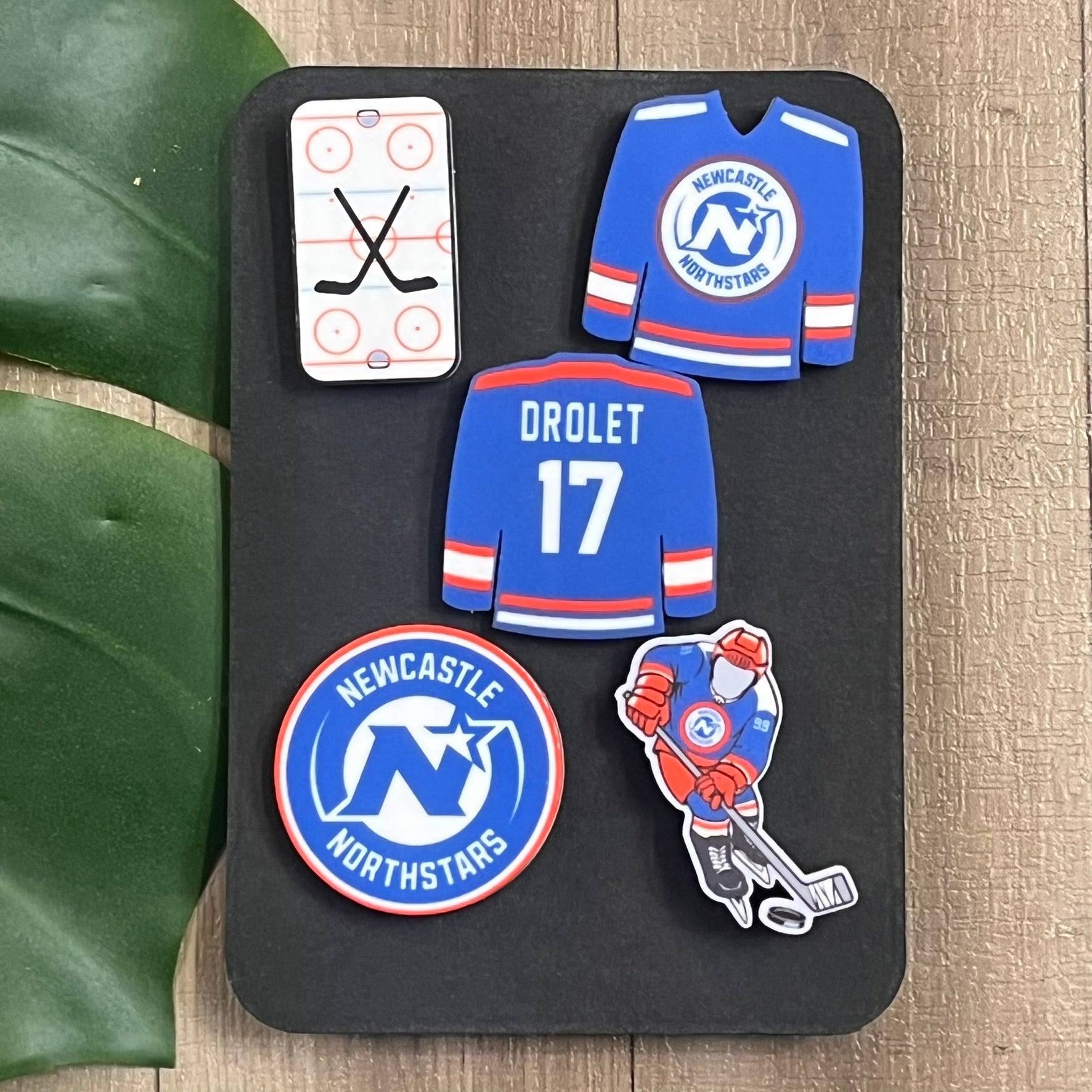 Newcastle Northstars Lanyard/Hat Pins - Webster Enterprises