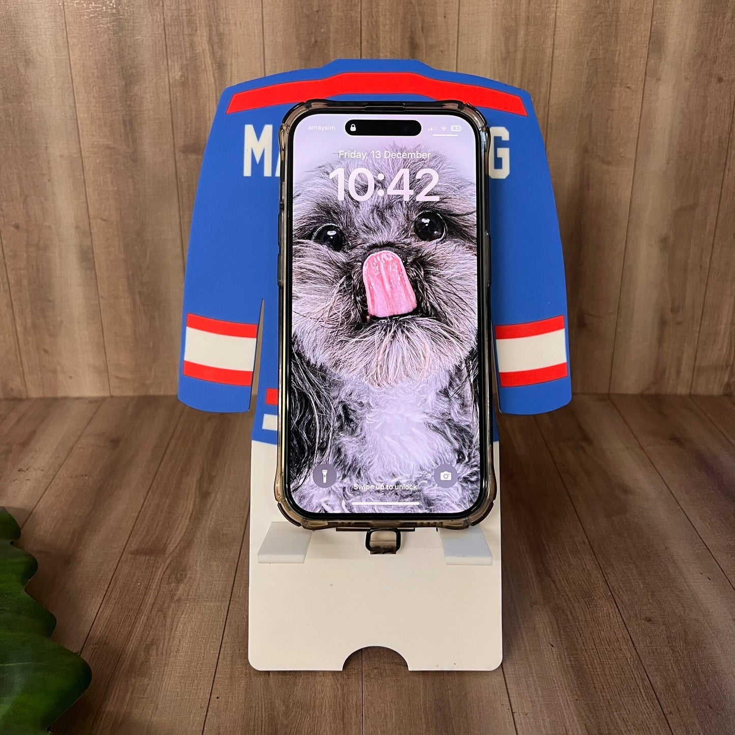Newcastle Northstars Personalised Jersey Phone Stand - Webster Enterprises