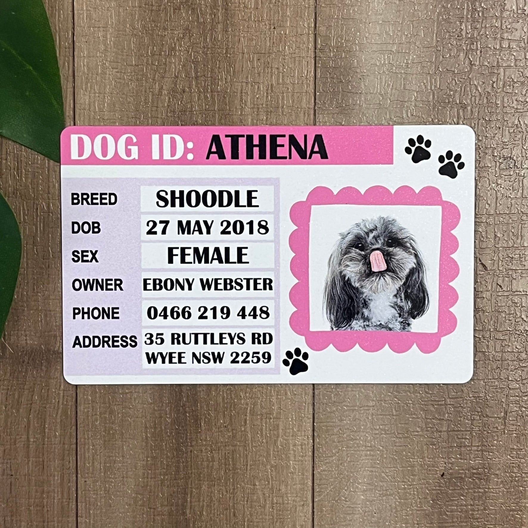Personalised Dog Sublimated ID Aluminium Cards - Webster Enterprises