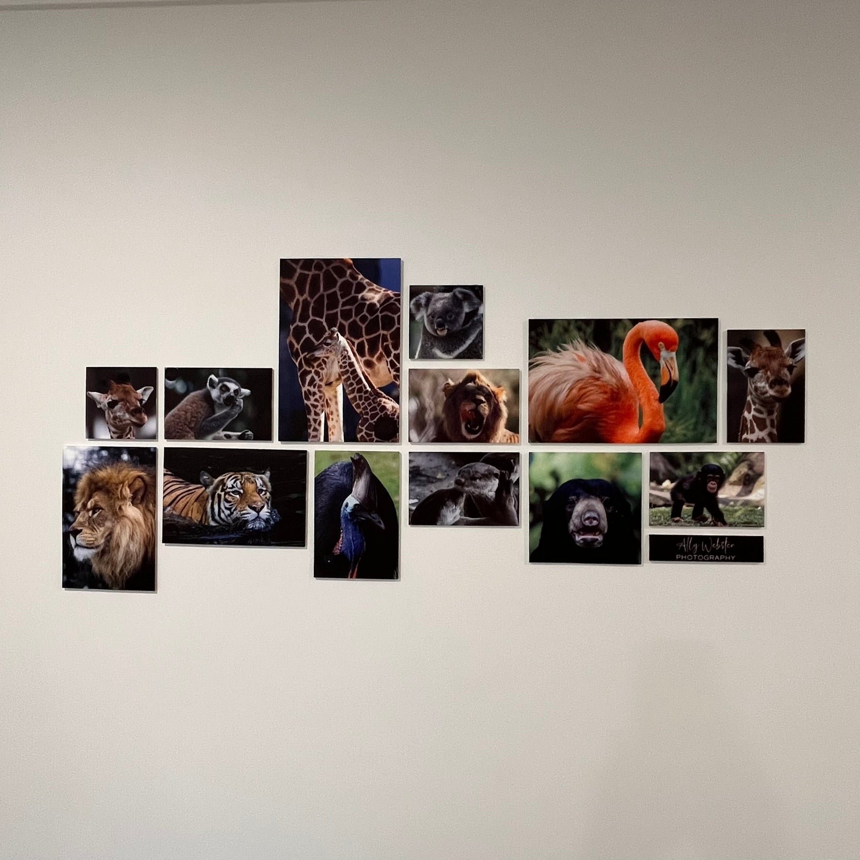 Personalised Sublimated Acrylic Photo Wall Feature Set - Webster Enterprises