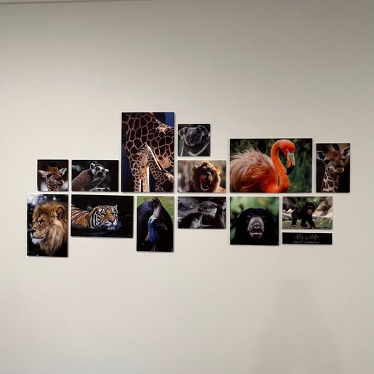 Personalised Sublimated Acrylic Photo Wall Feature Set - Webster Enterprises