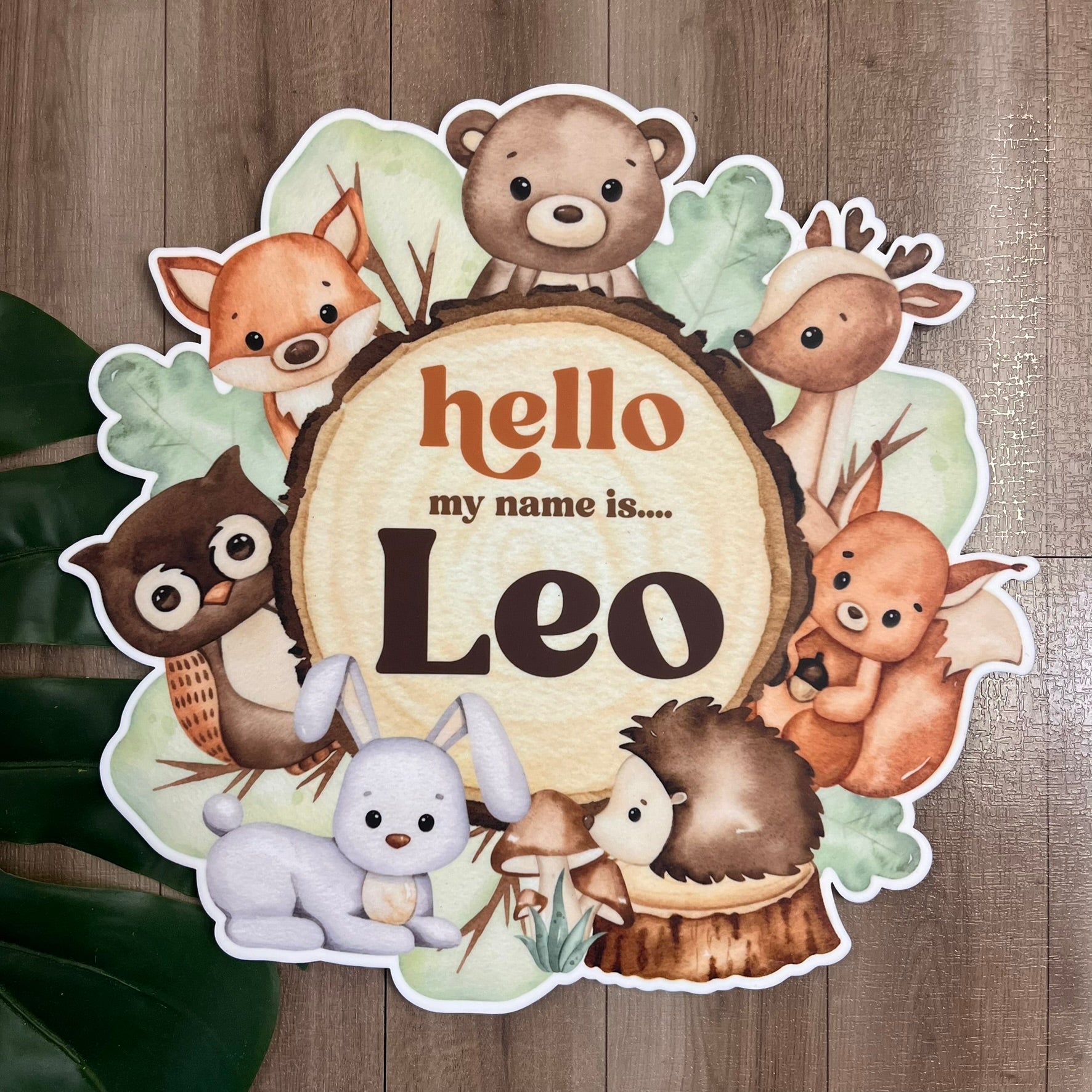 Personalised Woodland Animal Themed Acrylic Baby Announcement Plaque - Webster Enterprises