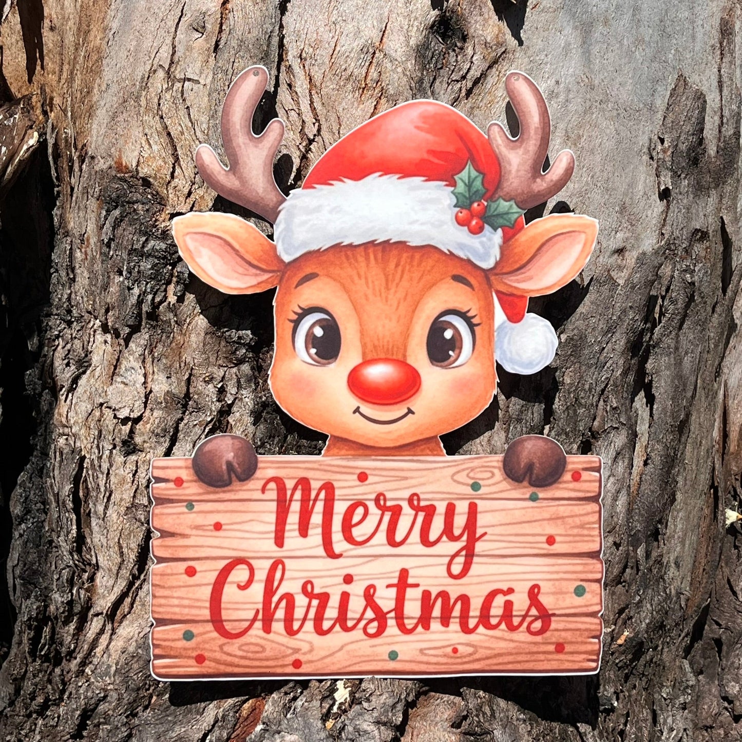 Rudolph Merry Christmas Plaque - Webster Enterprises